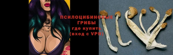 марки nbome Ладушкин