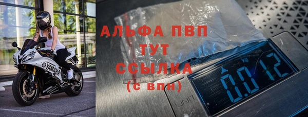 шишки Архангельск