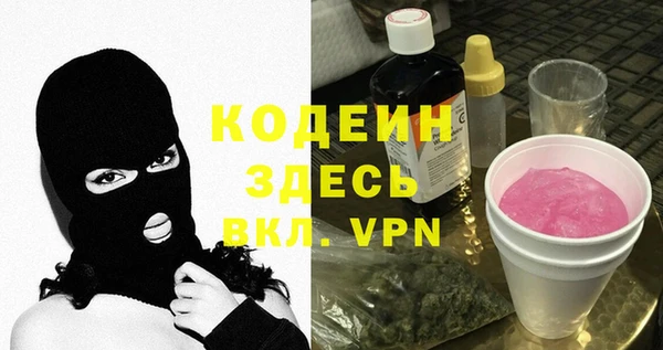 индика Карталы