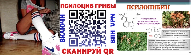 Псилоцибиновые грибы Cubensis  Салехард 