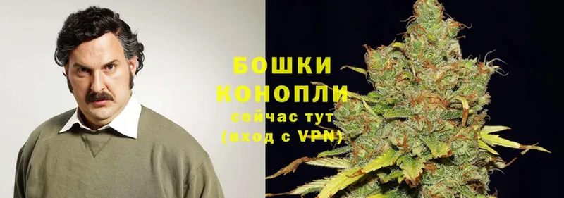 Каннабис планчик omg tor Салехард